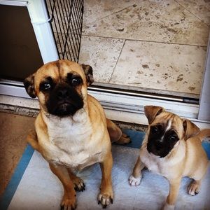 Meet your Posher, Shelly